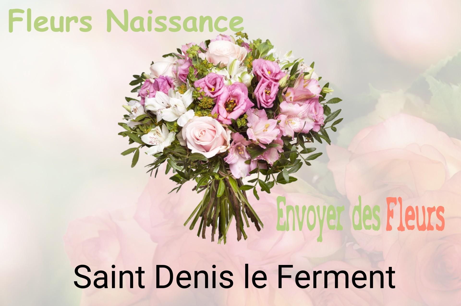 Bouquet de fleurs de naissance livré à Saint-Denis-le-Ferment